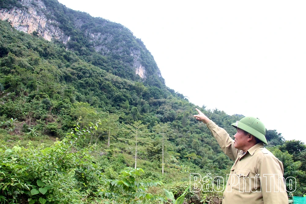 Chuyện về người bảo vệ đàn khỉ hoang dã nơi vùng lòng hồ Hòa Bình