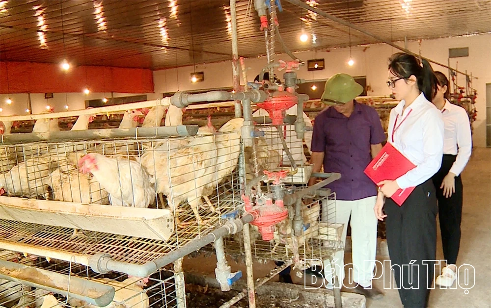 Điểm tựa tài chính vững chắc cho nông dân