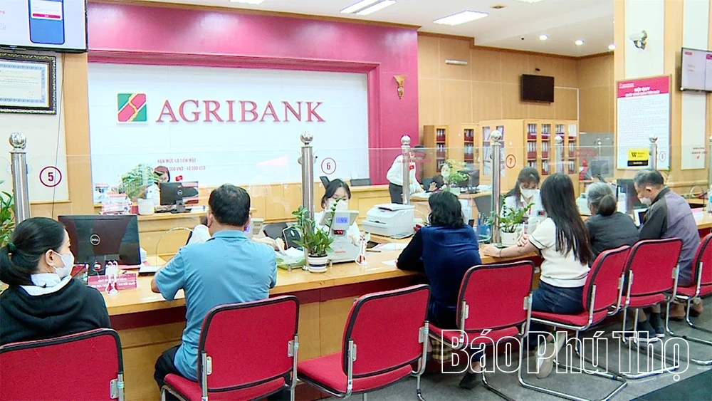 Điểm tựa tài chính vững chắc cho nông dân