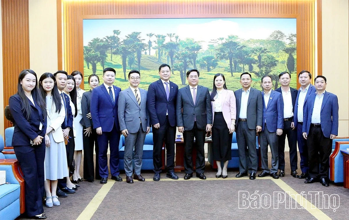 Chủ tịch UBND tỉnh Trần Duy Đông làm việc với Tập đoàn Xây dựng Thái Bình Dương