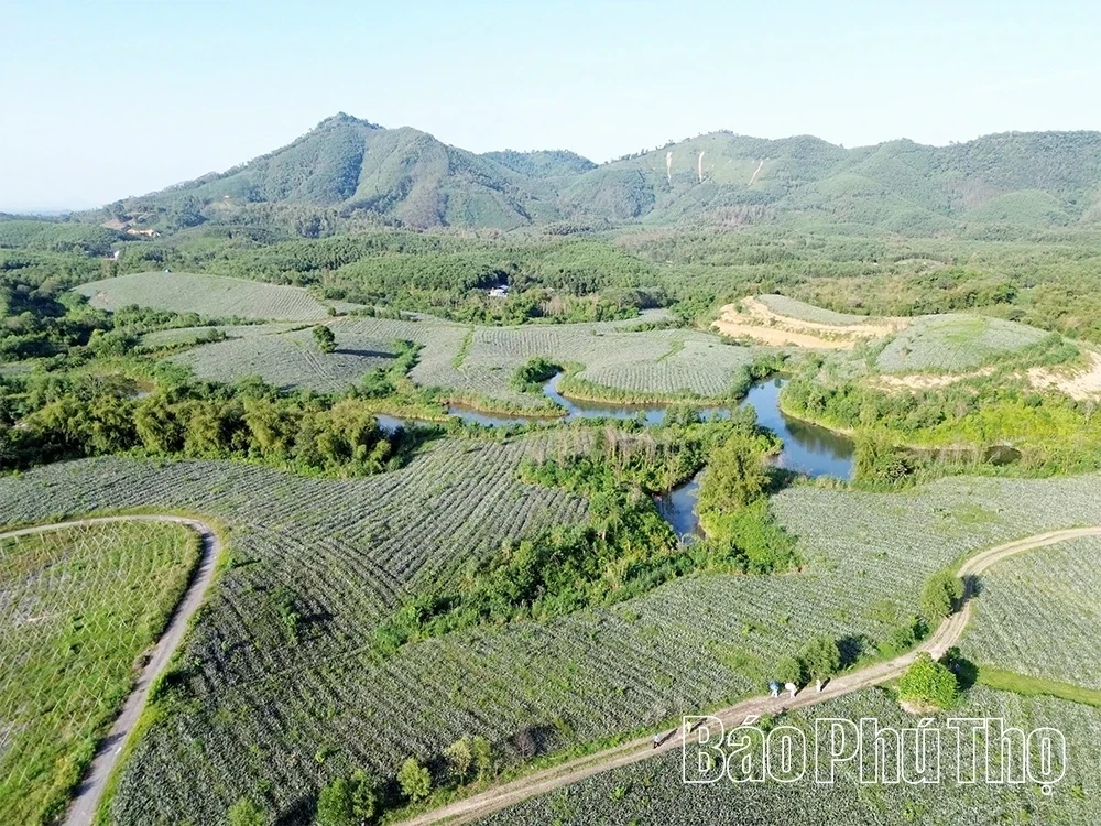 Barren Land, Sweet Harvest