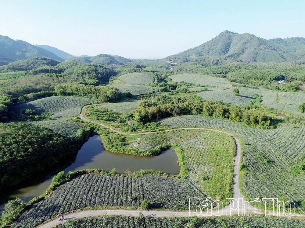 Barren Land, Sweet Harvest