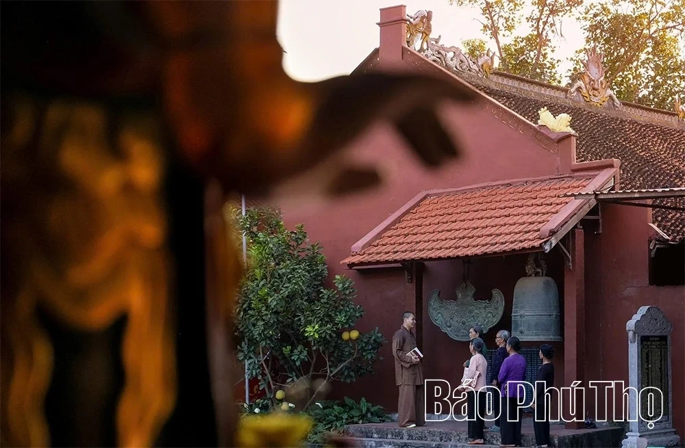 Dai Phuc Tu – A Sanctuary Preserving National Treasures