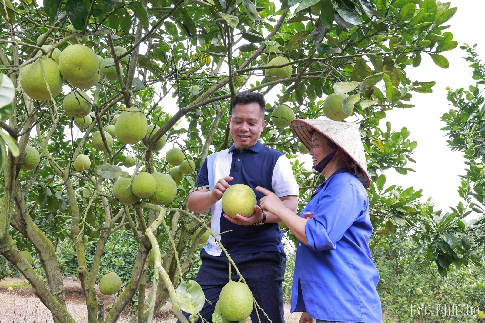 Nâng tầm nông sản