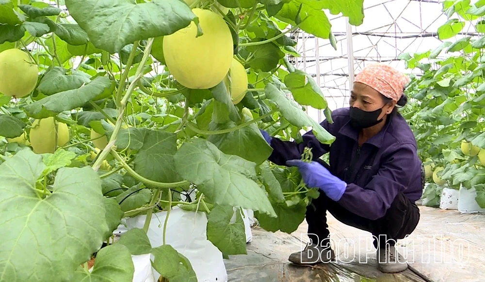 Khát vọng trở thành xã đi đầu của Phú Thọ