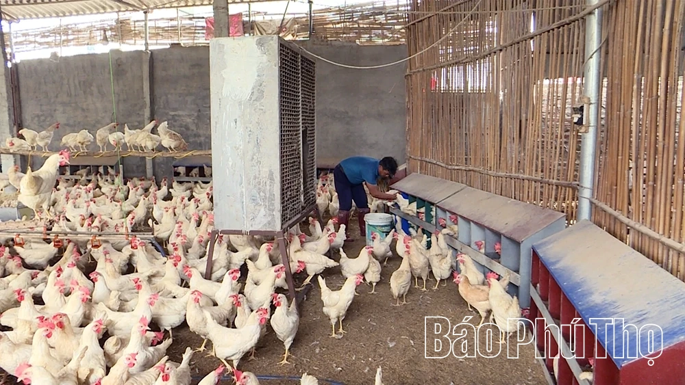 Khát vọng trở thành xã đi đầu của Phú Thọ