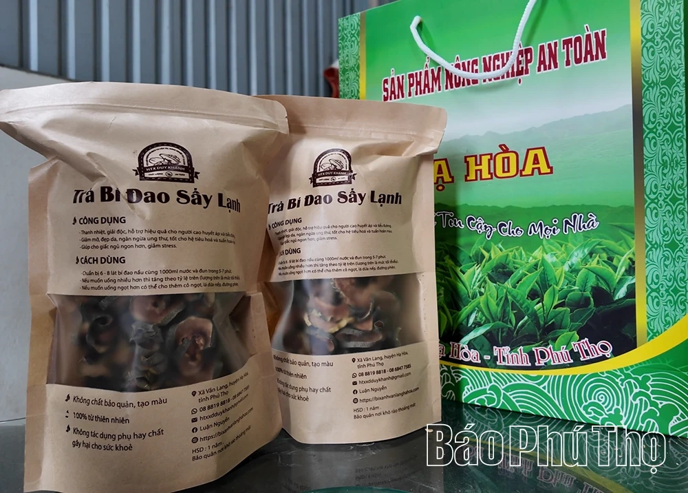 Văn Lang: Hành trình đổi thay