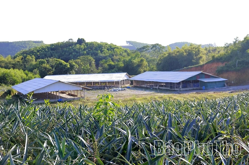 Văn Lang: Hành trình đổi thay