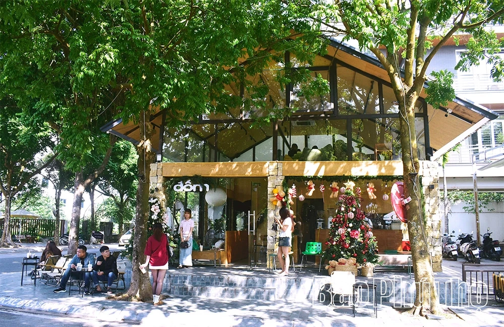 Phú Thọ “lên đèn” sớm mùa Giáng sinh