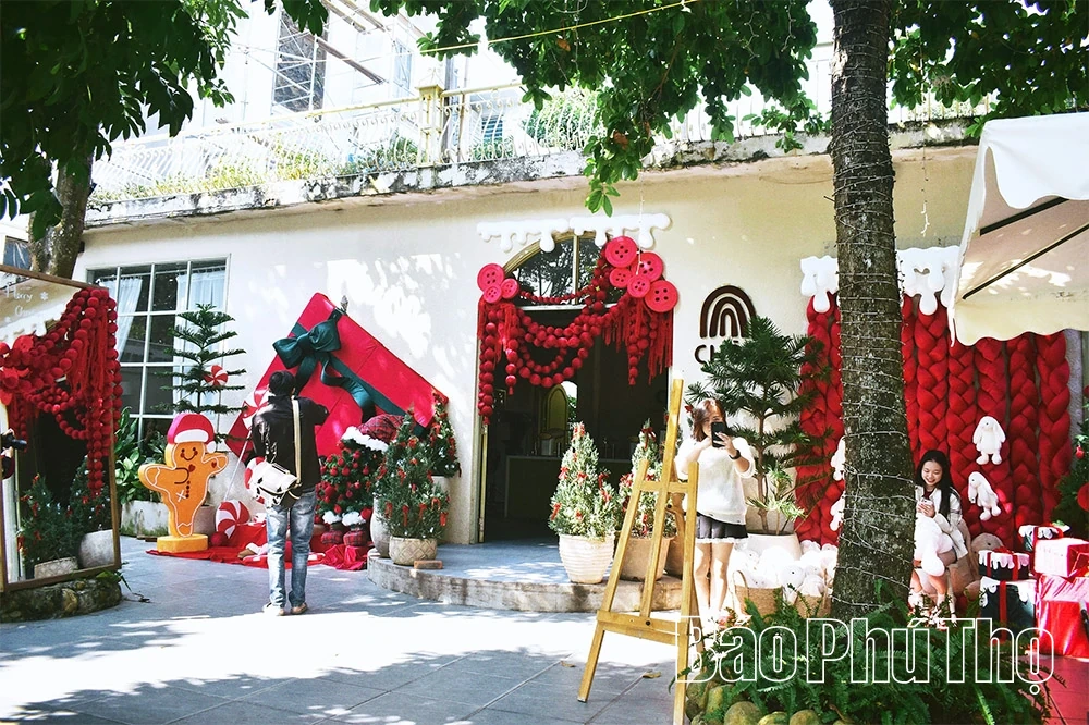 Phú Thọ “lên đèn” sớm mùa Giáng sinh