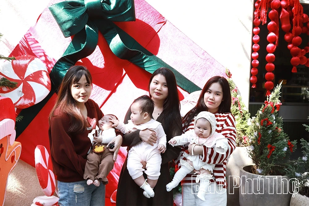 Phú Thọ “lên đèn” sớm mùa Giáng sinh