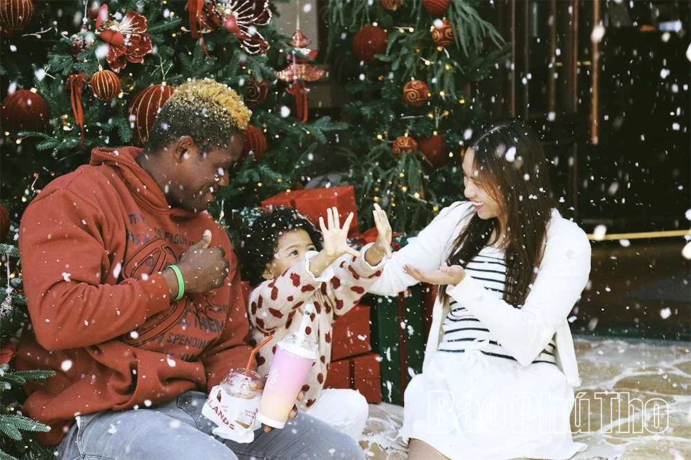 Phú Thọ “lên đèn” sớm mùa Giáng sinh