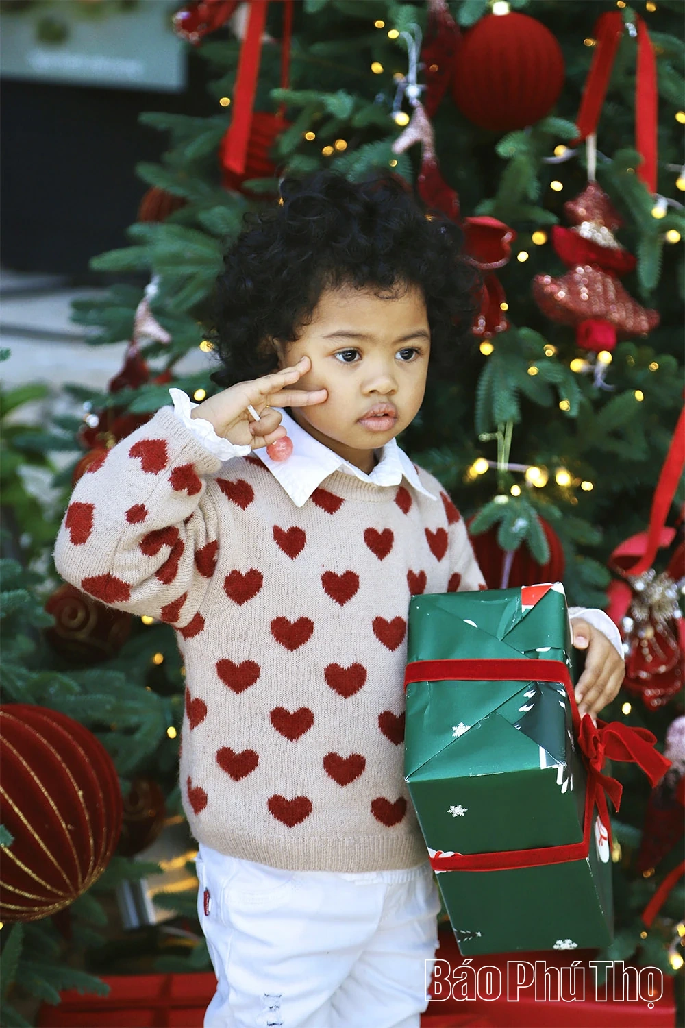 Phú Thọ “lên đèn” sớm mùa Giáng sinh