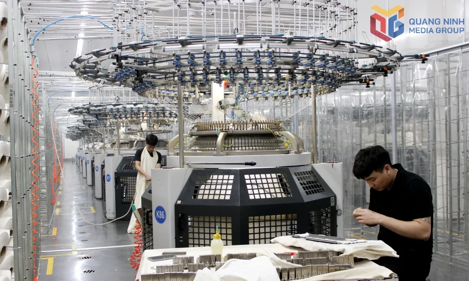 Quảng Ninh quyết tâm xác lập kỷ lục mới về thu ngân sách