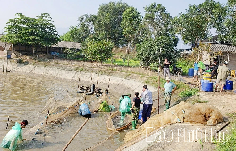 Ứng dụng khoa học công nghệ trong phát triển thủy sản
