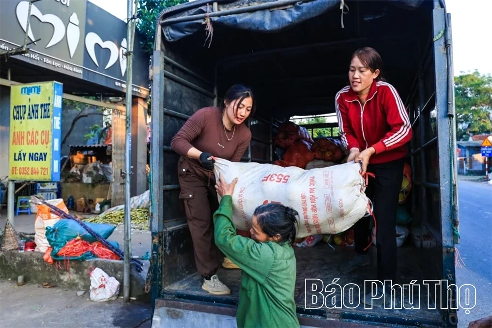 The Fragrant Flavor of Tan Lac Red Pomelo