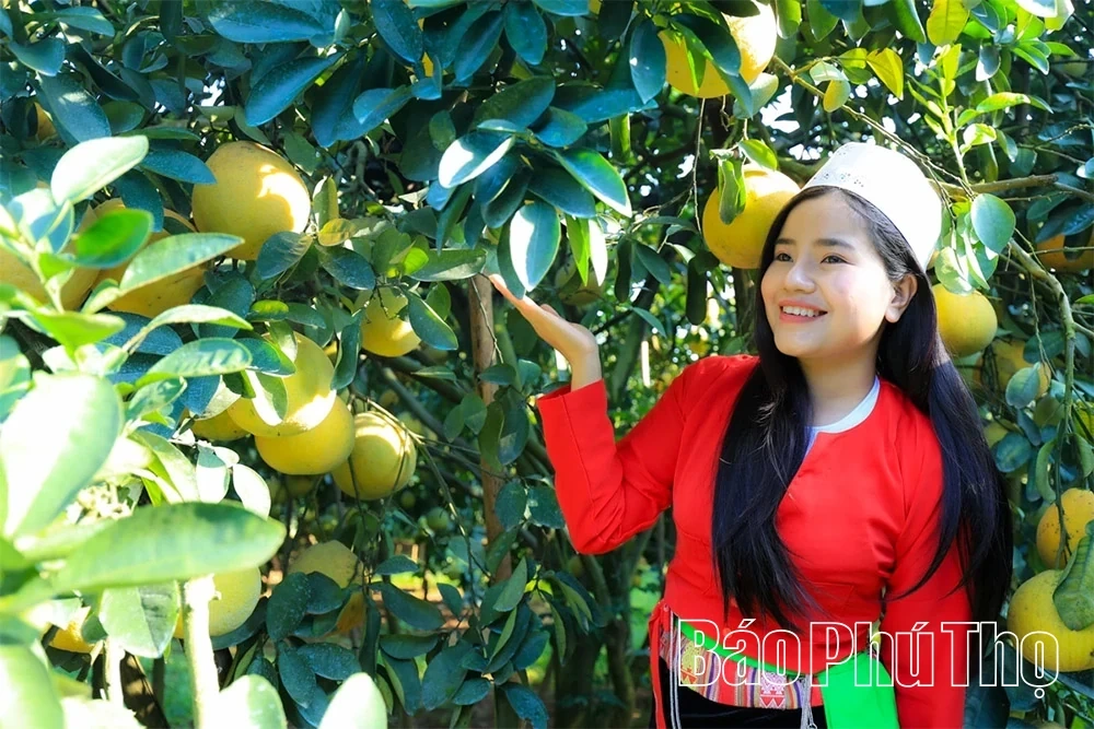 The Fragrant Flavor of Tan Lac Red Pomelo