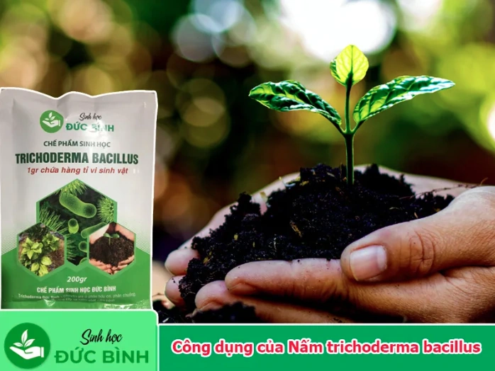 CEO Đức Bình và hành trình xây dựng thương hiệu chế phẩm sinh học uy tín tại Việt Nam