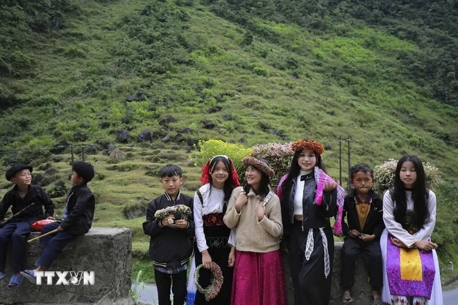 Mùa hoa đánh thức bước chân về miền cực Bắc Tổ quốc