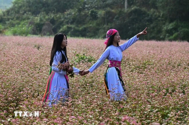 Mùa hoa đánh thức bước chân về miền cực Bắc Tổ quốc