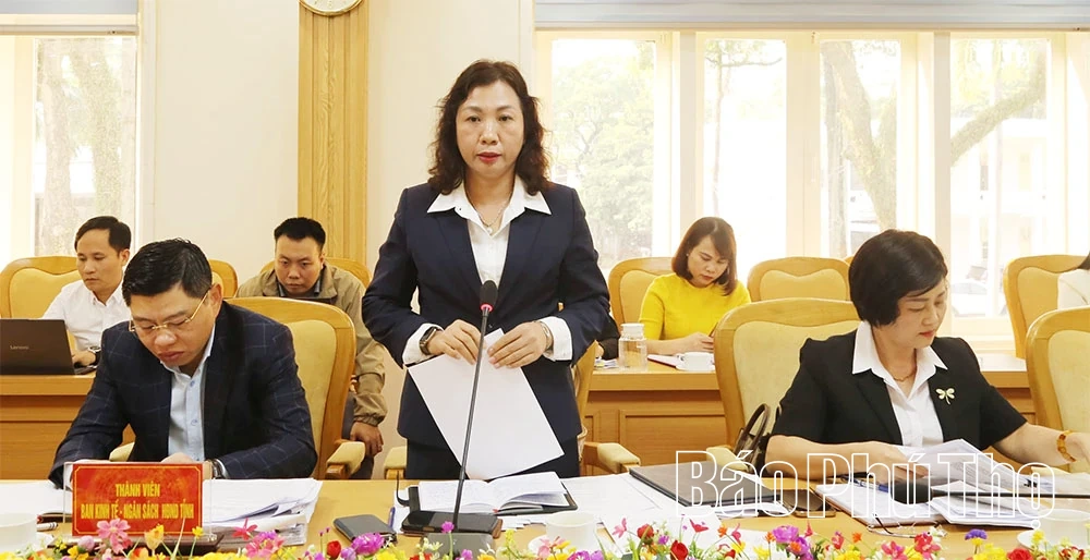 Ban Kinh tế - Ngân sách, HĐND tỉnh thẩm tra các dự thảo nghị quyết