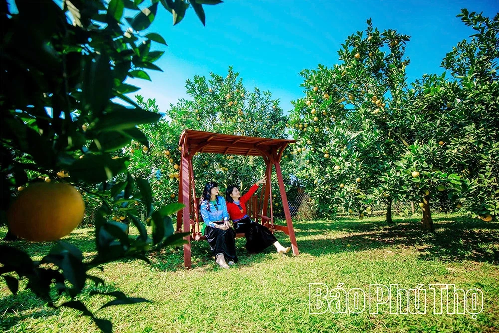 Đẩy mạnh phát triển du lịch gắn với nông nghiệp