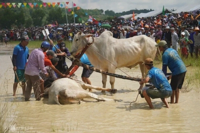 An Giang thúc đẩy khai thác du lịch cộng đồng