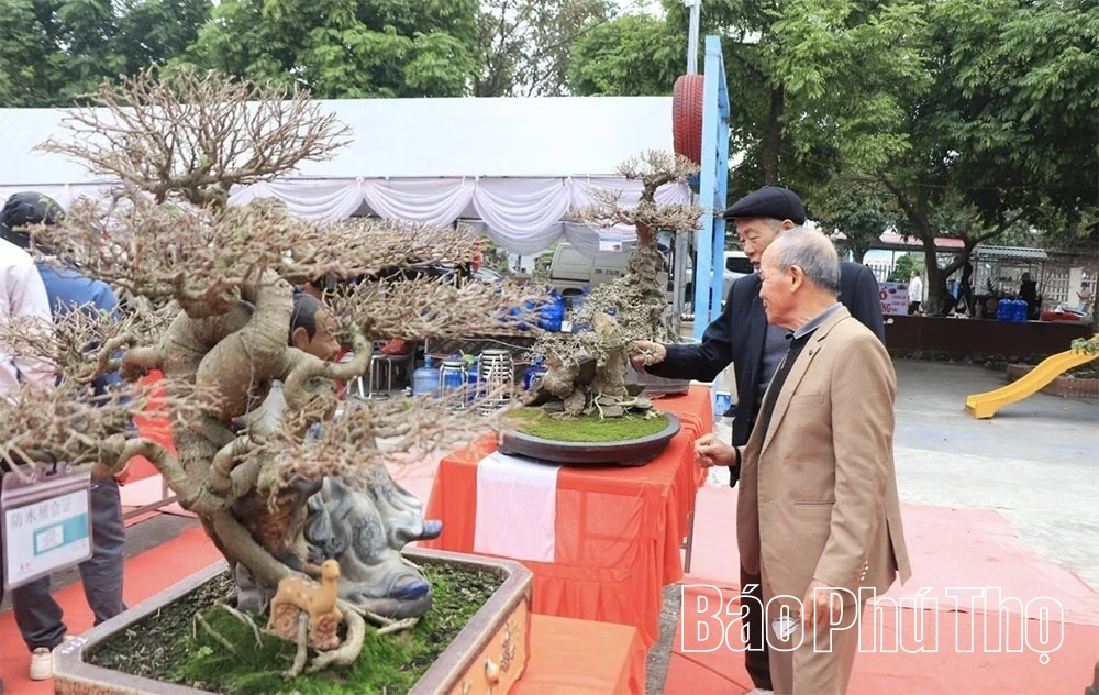 Hơn 400 tác phẩm tham gia Triển lãm sinh vật cảnh năm 2025