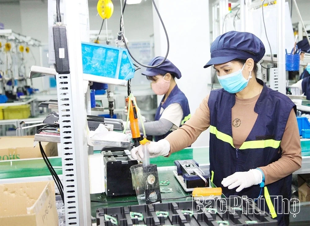 Accelerating exports to affirming position in the international market