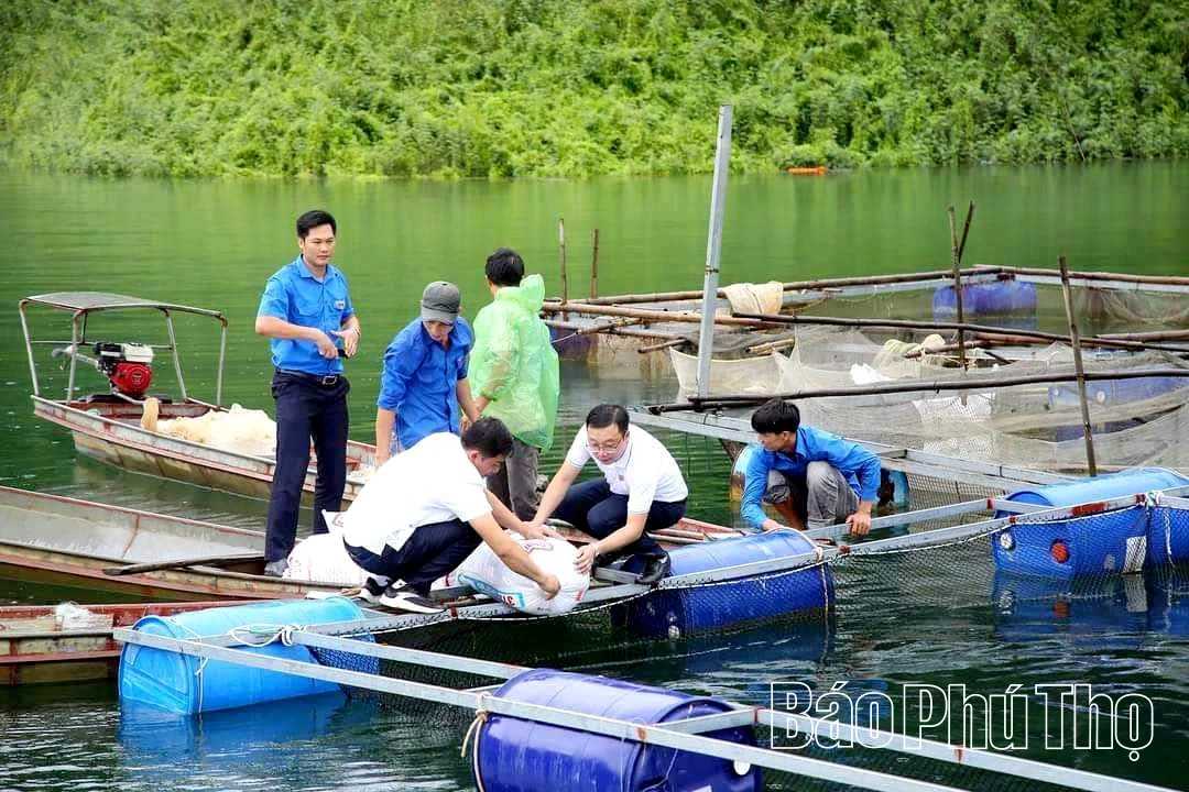 Phát huy hiệu quả mô hình Tổ khuyến nông cộng đồng