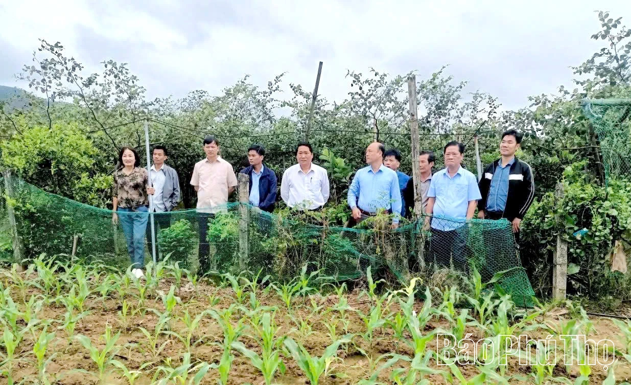 Phát huy hiệu quả mô hình Tổ khuyến nông cộng đồng