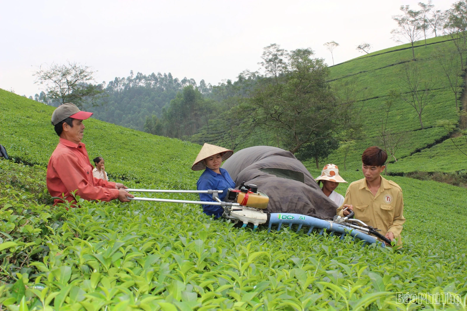 Hướng tới Phú Thọ phát triển bền vững