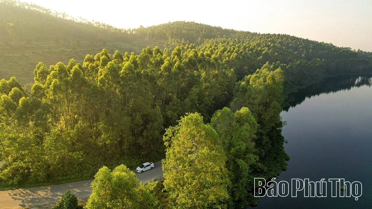 Early Morning Sunshine at Van Truc Lake