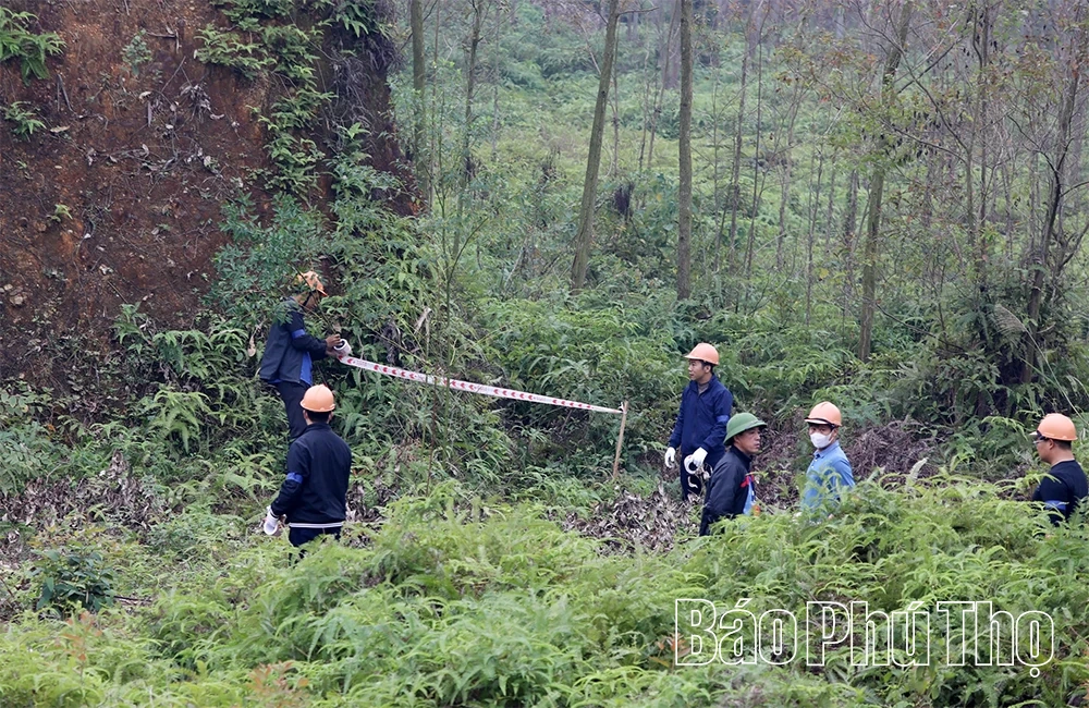Cưỡng chế thu hồi đất phục vụ xây dựng Cụm công nghiệp Tam Nông