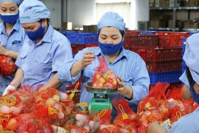 Đồng bộ chính sách an sinh trong tăng lương tối thiểu năm 2026