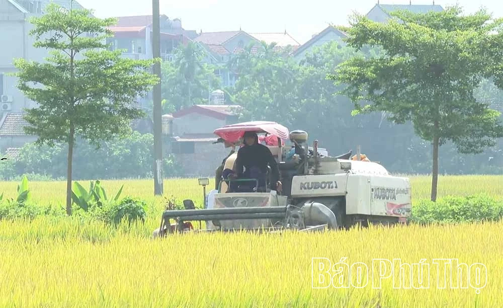 Cơ giới hóa trong sản xuất nông nghiệp