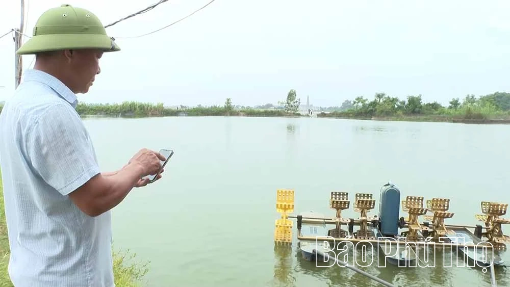 Cơ giới hóa trong sản xuất nông nghiệp