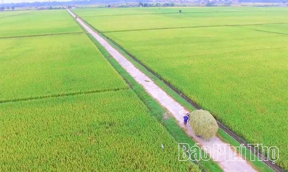 Cơ giới hóa trong sản xuất nông nghiệp