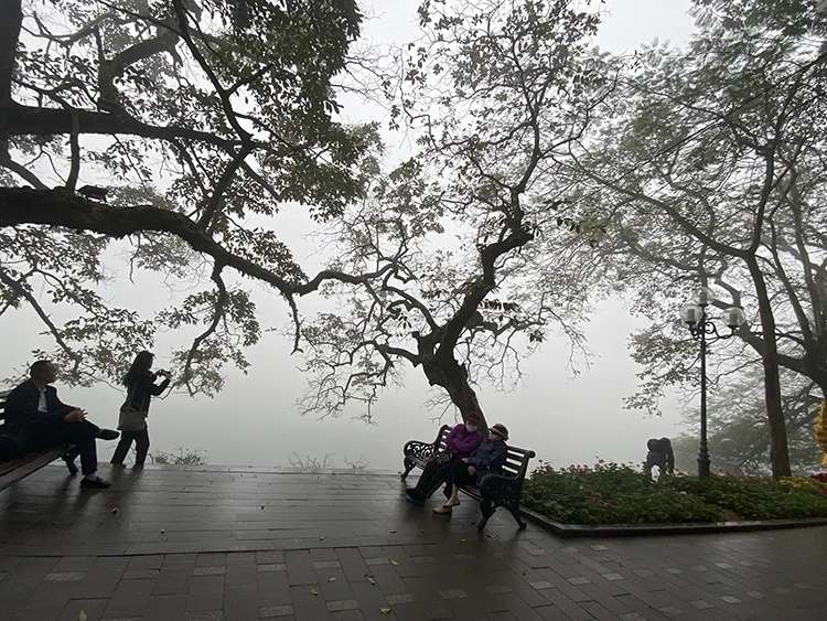 Thời tiết ngày 20/12: Không khí lạnh chi phối, Bắc Bộ rét về đêm, biển động mạnh