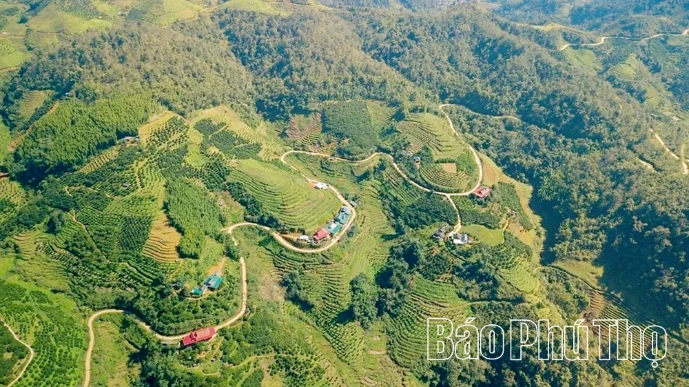 Xã Vân Sơn tổ chức Hội nghị xúc tiến đầu tư năm 2025