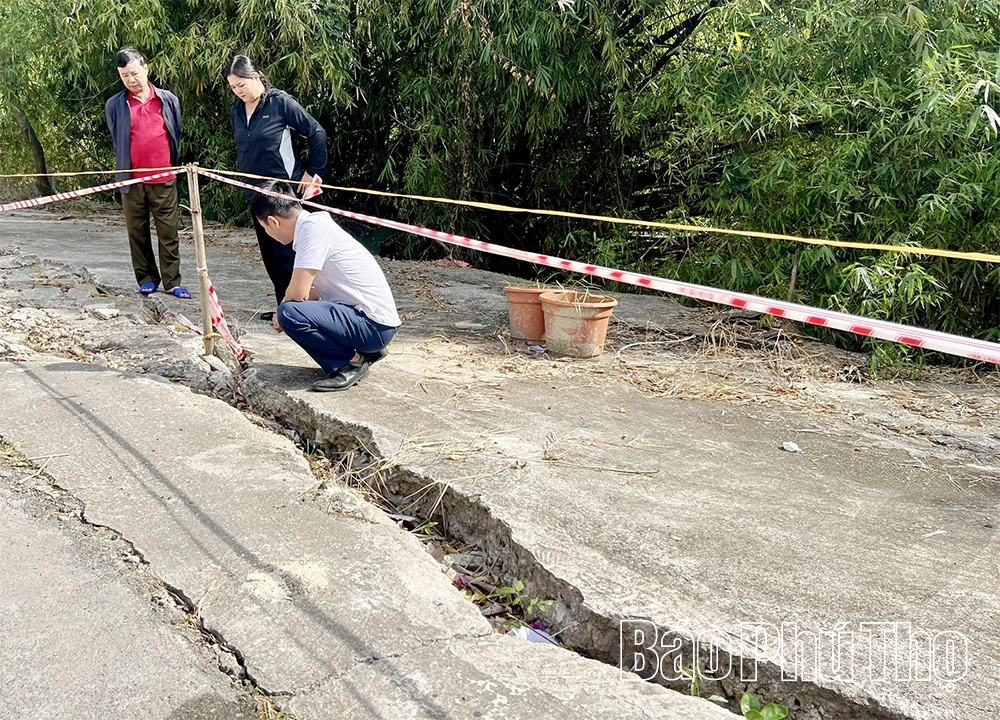Tăng cường bảo đảm an toàn tuyến đê Cà Lồ – Nam Viêm