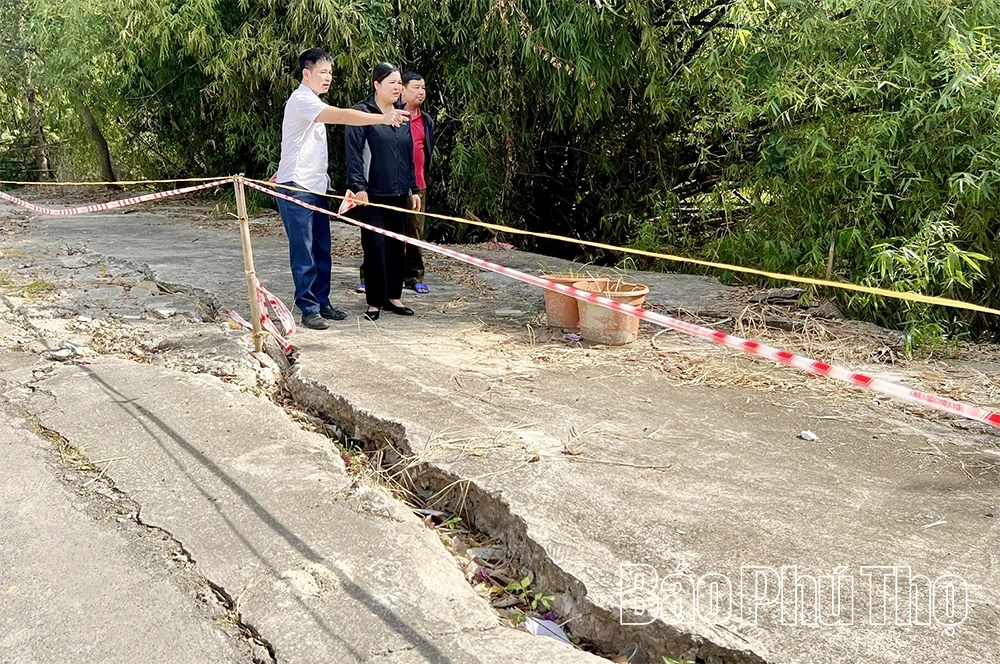Tăng cường bảo đảm an toàn tuyến đê Cà Lồ – Nam Viêm