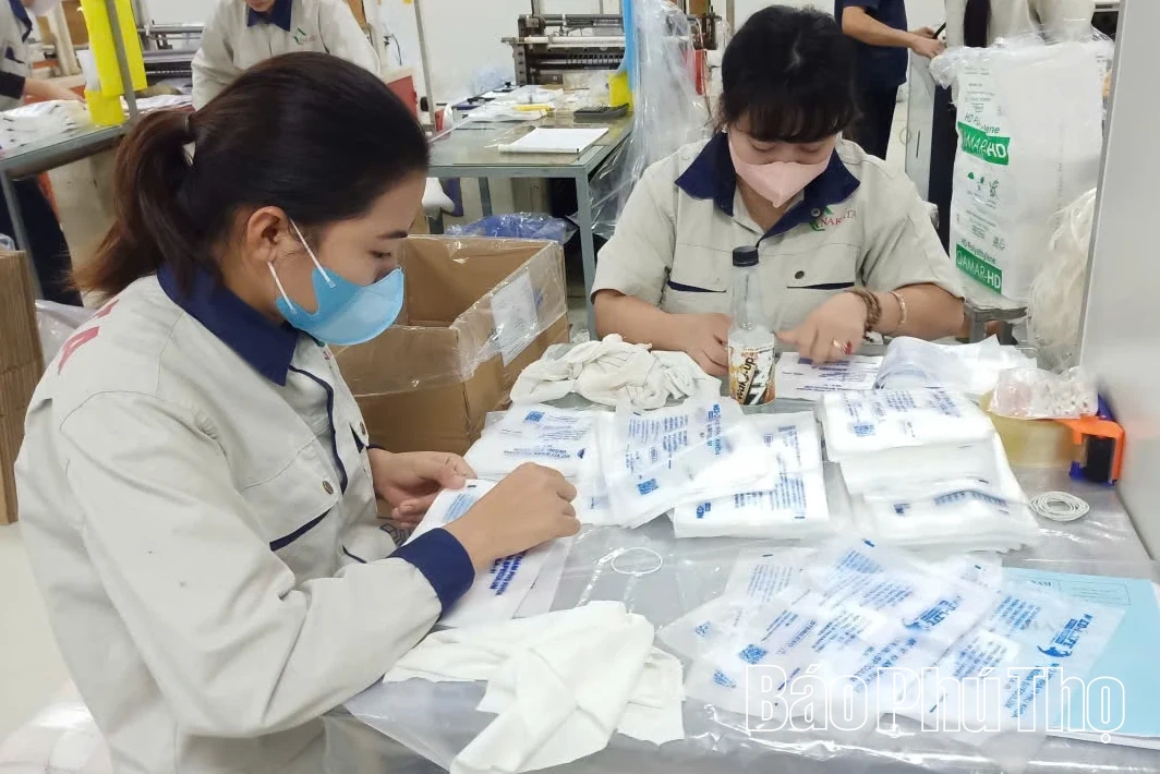 Đảng bộ An Nghĩa đưa nghị quyết vào cuộc sống