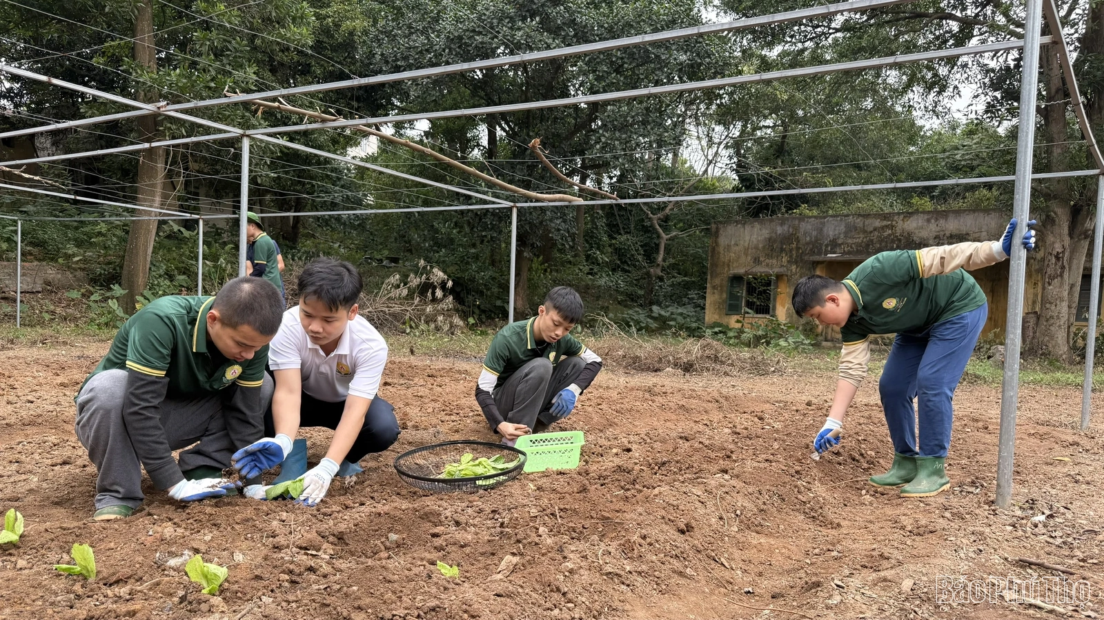 Chung tay mở cánh cửa hòa nhập cho trẻ tự kỷ