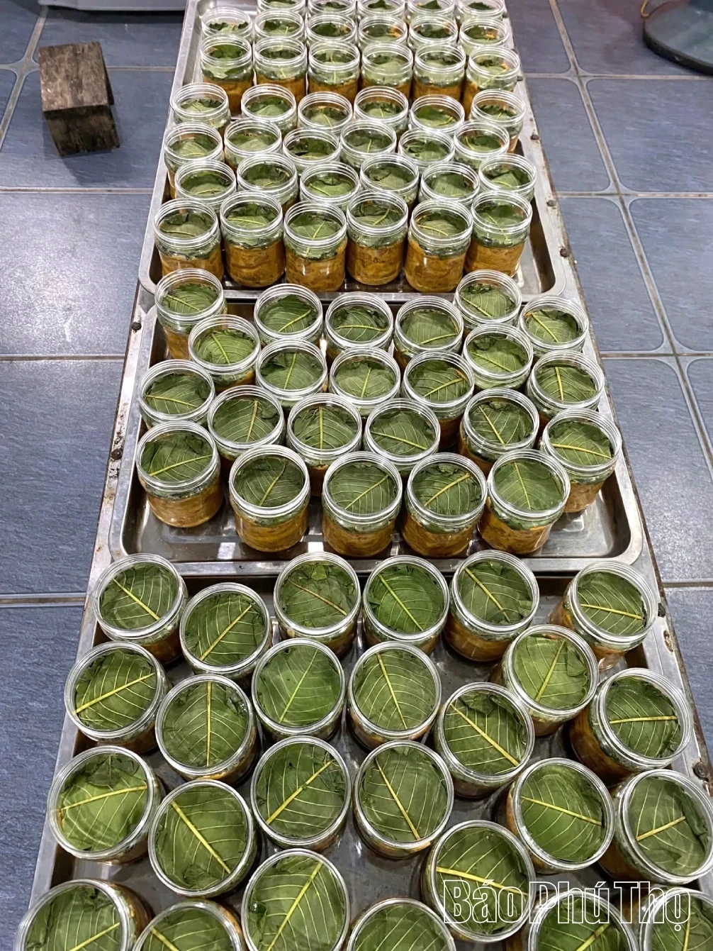 Fermented Pork with Papaya - The Flavor of Tan Sons Muong Region