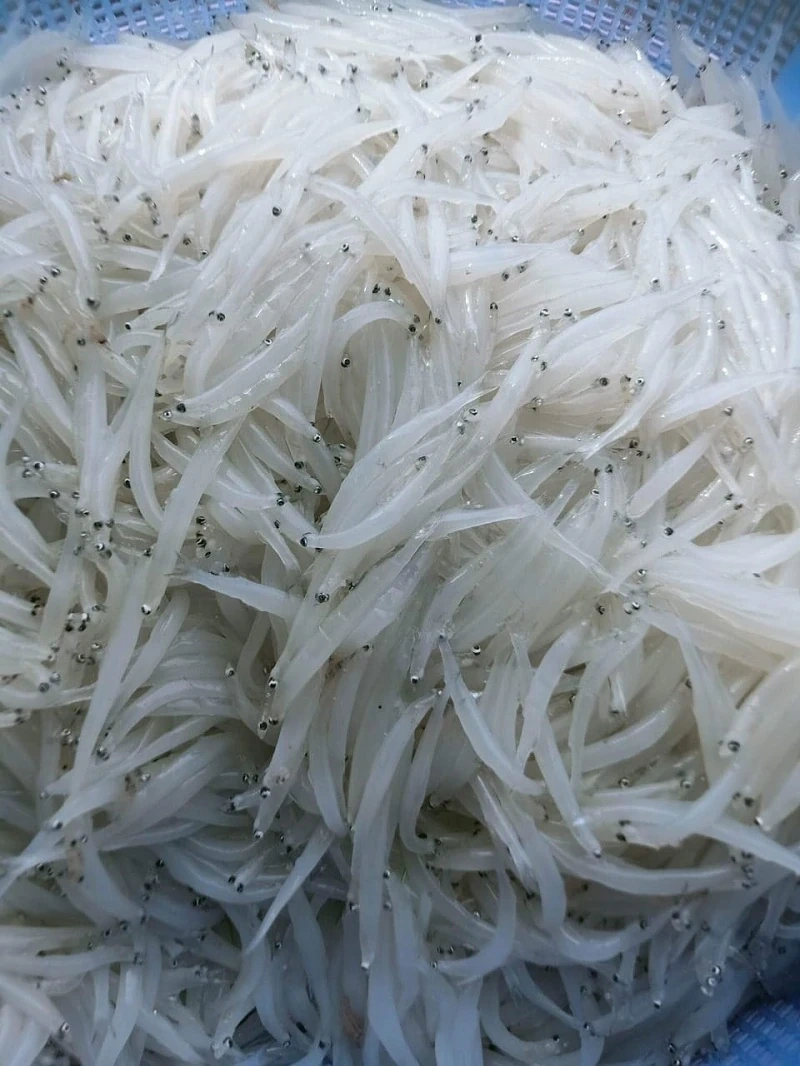 Giá cả thị trường ngày 18/12/2025