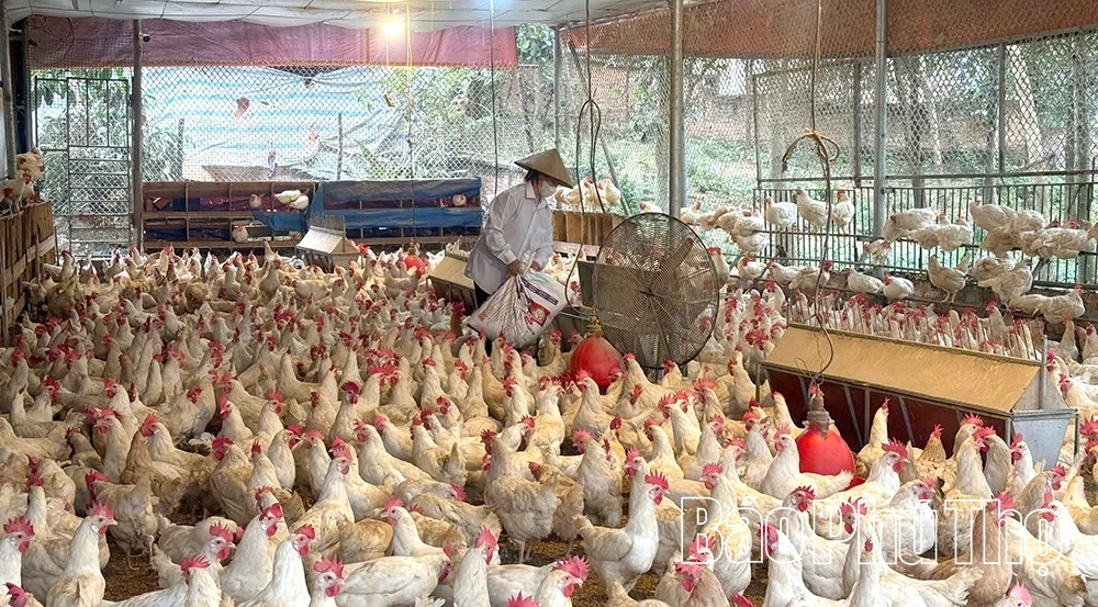 Liên Hòa hành động cụ thể đưa nghị quyết của Đảng vào cuộc sống