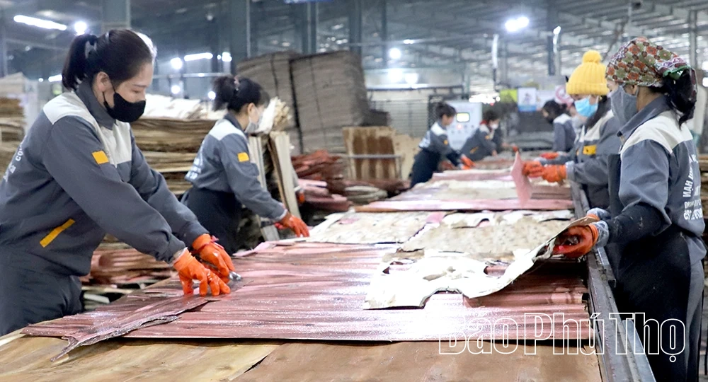 Hỗ trợ doanh nghiệp nâng cao năng suất, chất lượng sản phẩm, hàng hóa