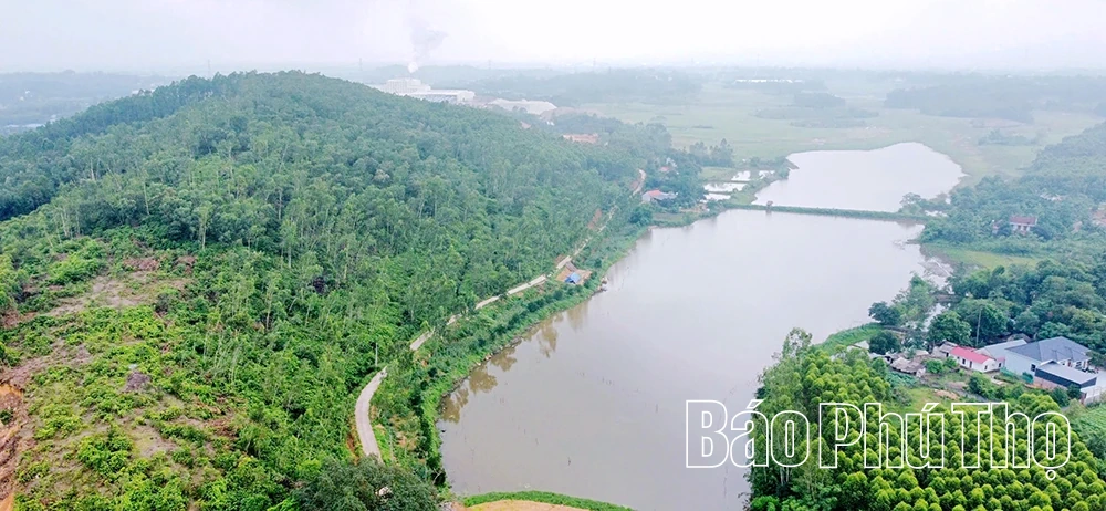 Chuyện người “gác súng” mùa chim