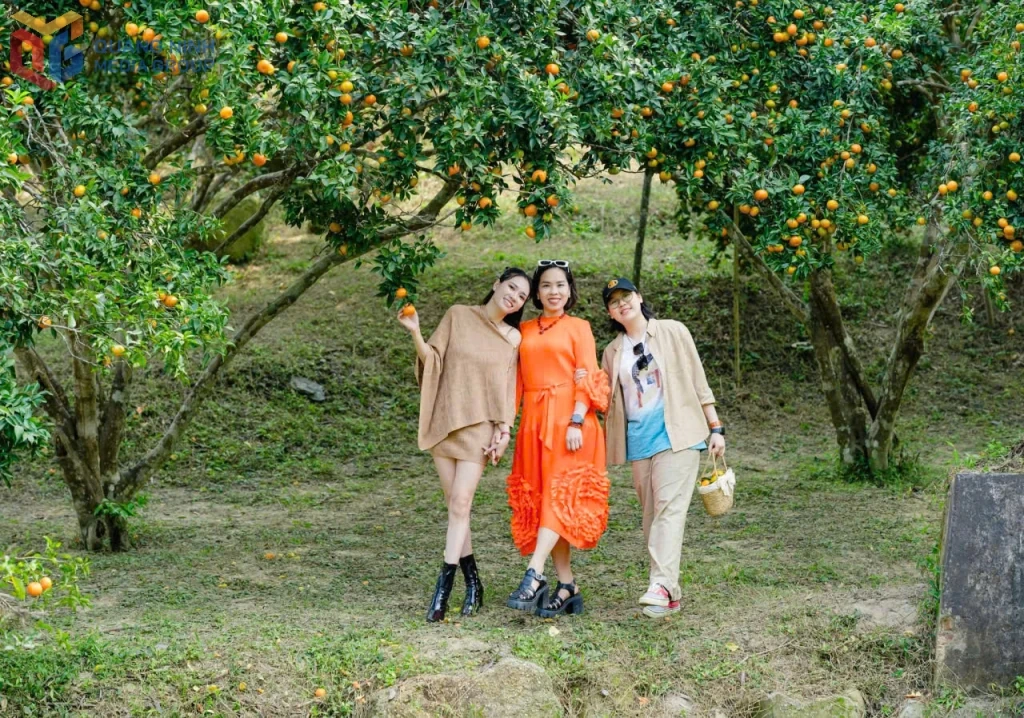 Sắc màu du lịch nông nghiệp Quảng Ninh